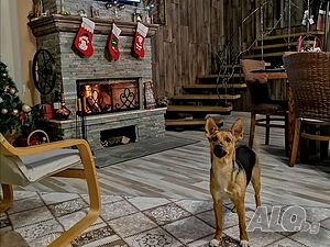 image_26