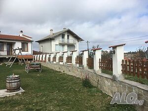 image_6