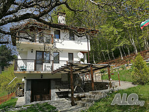 image_3