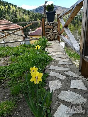 image_34