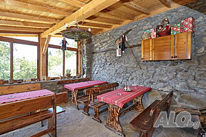 image_46