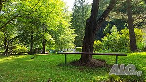 image_24