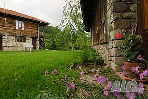 image_14