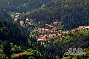 image_31