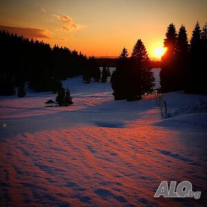 image_34