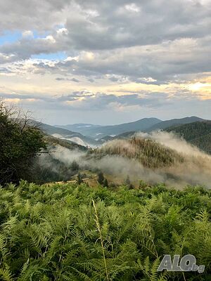 image_35