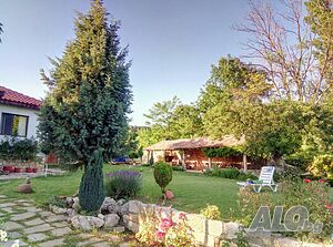 image_3