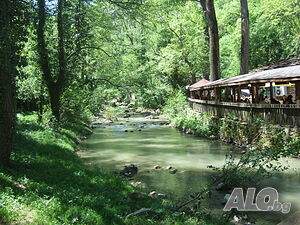 image_40