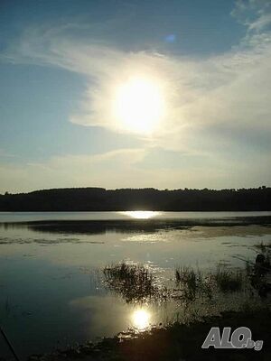image_33