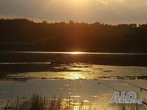 image_34