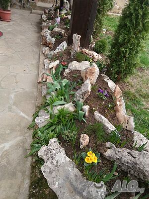 image_36