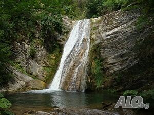 image_6