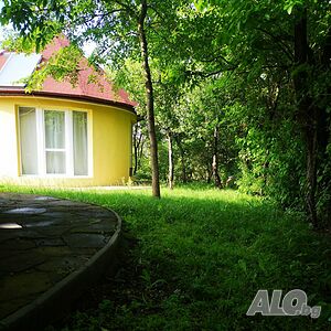image_2