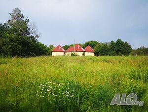 image_8