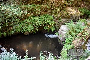 image_31