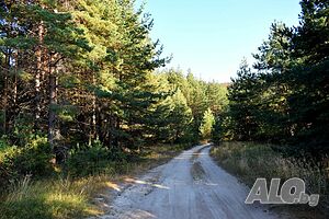 image_32