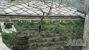 image_35