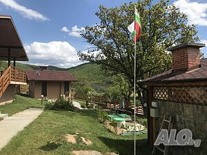 image_11