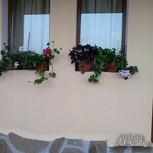 image_24