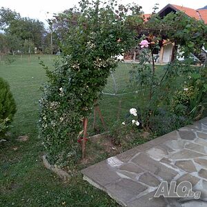 image_25