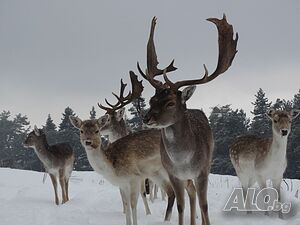 image_20