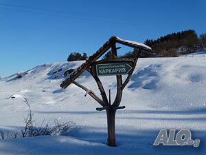 image_21
