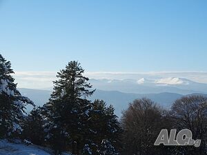 image_22