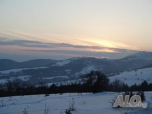 image_23