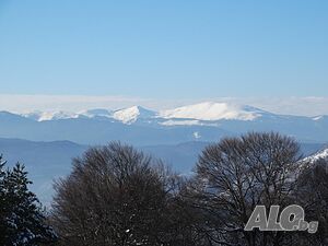 image_24