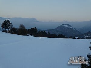 image_25