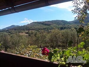 image_12