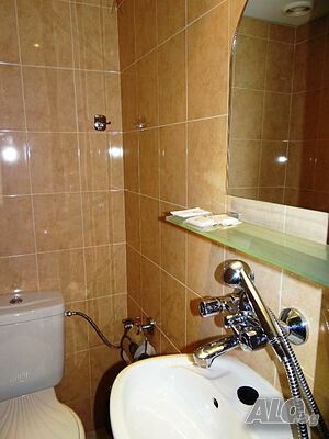 image_11