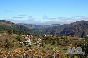 image_18