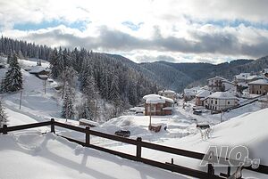 image_11