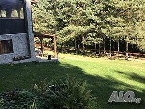 image_10