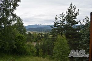 image_11