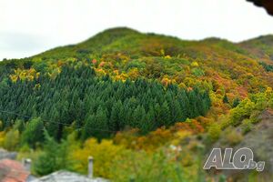 image_22