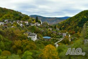image_23