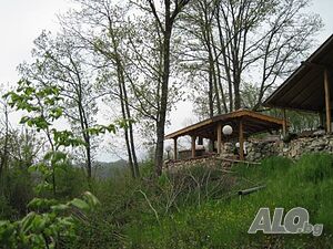 image_6