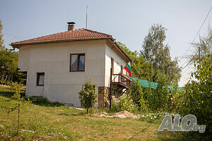 image_3