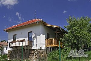 image_5
