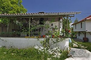 image_6
