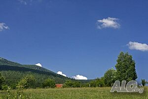 image_9