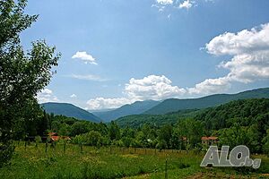 image_11