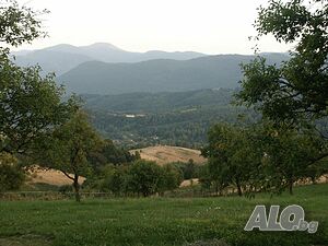 image_13