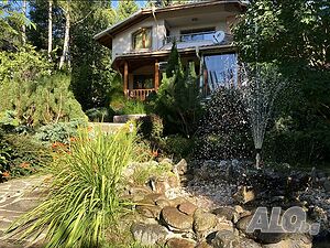 image_18