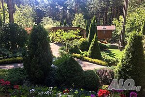 image_33