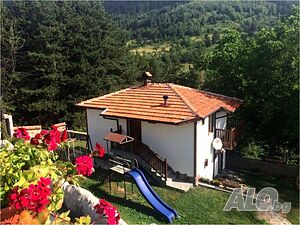 image_22