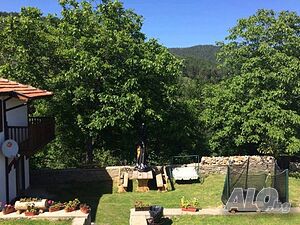 image_19
