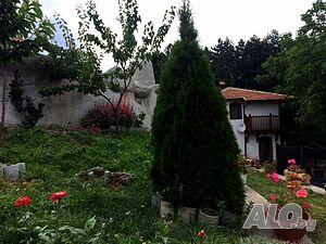 image_18